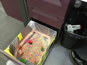 Drawer fish tank prank