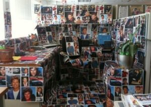 Switch up the yearbook click with pictures of your boss (Yikes!), David Hasselhoff, Justin Bieber or cats.