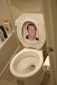 Just paste a picture of Nicholas Cage, or better still the spooky girl from Grudge on the toilet seat so that when it is raised
