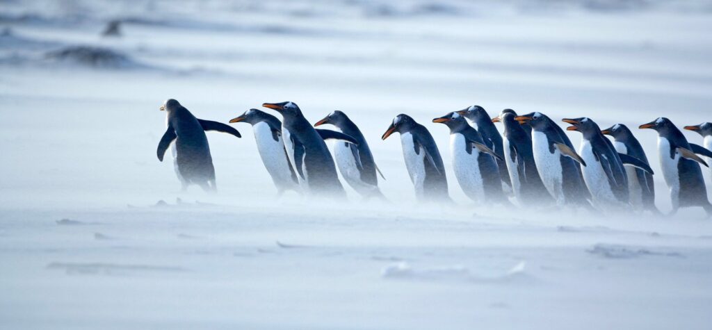 How to find the right marketing agency 4
