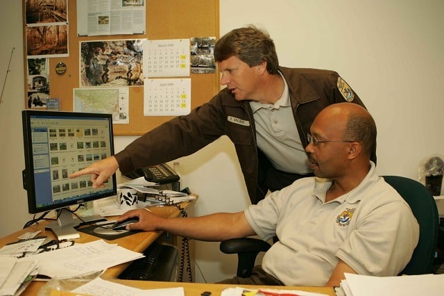 Employee teaching another
