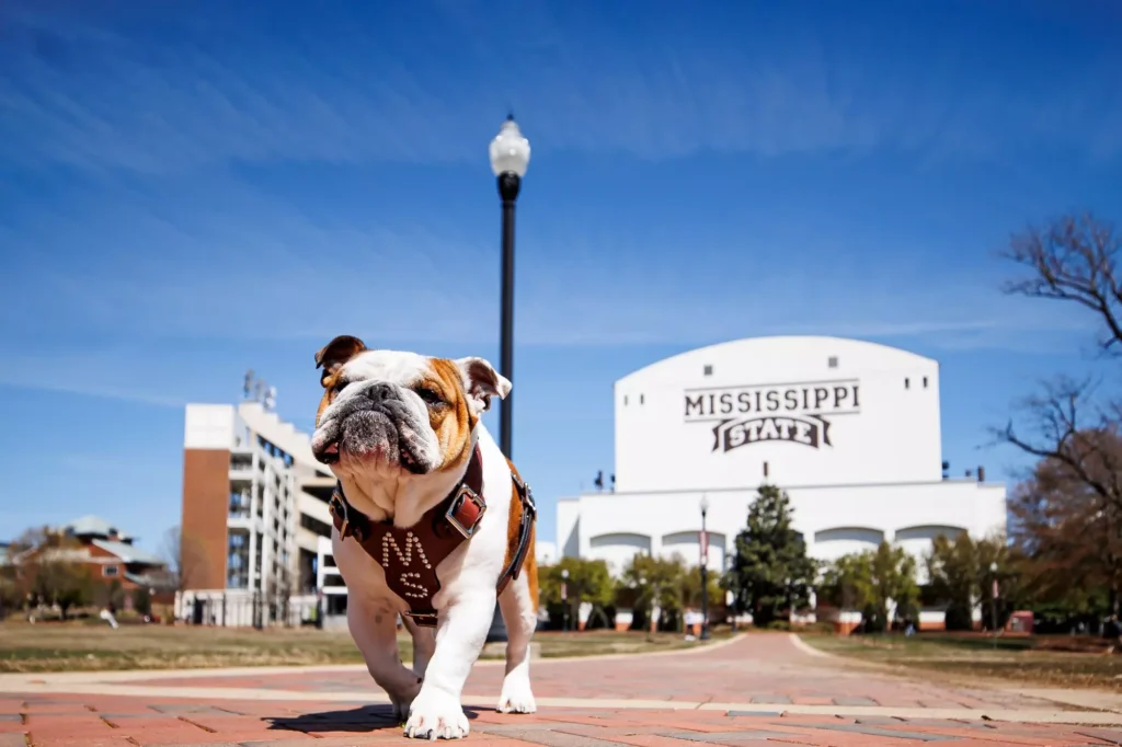 How mississippi state centralized 5 teams with workzone