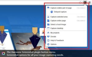 21 chrome extensions for project managers