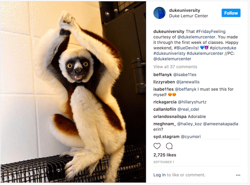 Duke University instagram post