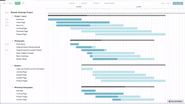 Team gantt software