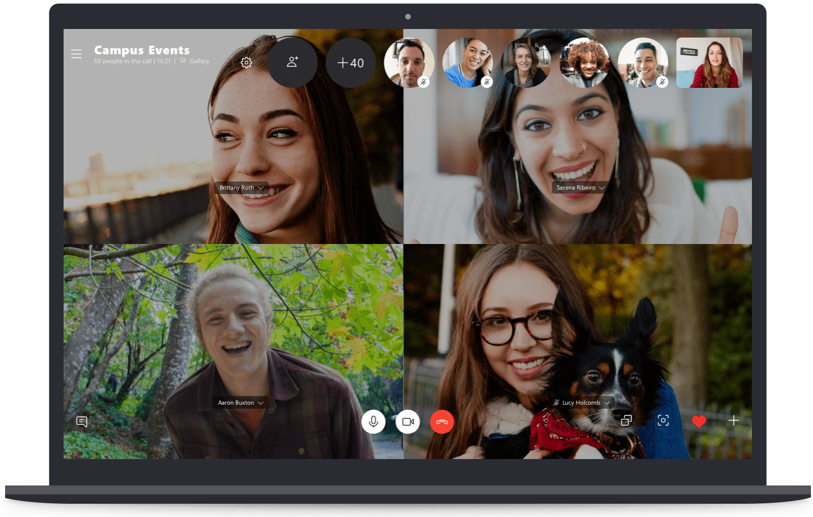 Skype video conference