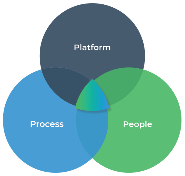 platform process and people are center to choosing project management software